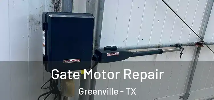 Gate Motor Repair Greenville - TX