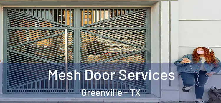 Mesh Door Services Greenville - TX